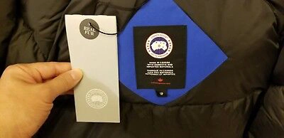 Pre-owned Canada Goose Latest Grey Label Polar Bear  Blue Label Pbi Chilliwack Small Parka In Royal Blue (polar Bear Limited Edition) Pbi