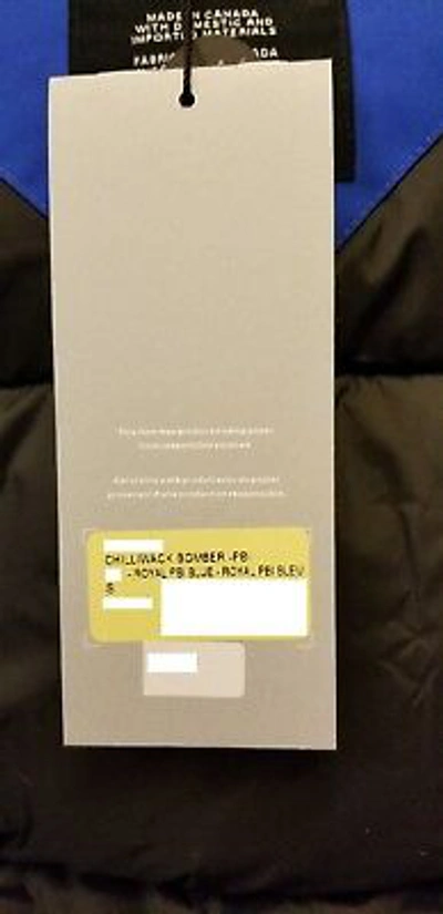 Pre-owned Canada Goose Latest Grey Label Polar Bear  Blue Label Pbi Chilliwack Small Parka In Royal Blue (polar Bear Limited Edition) Pbi