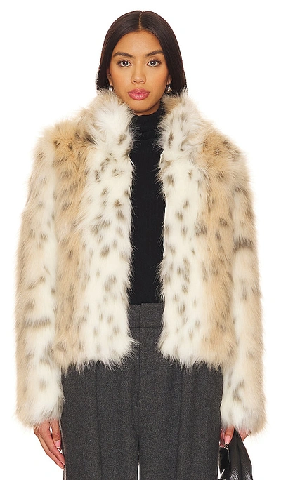 Shop Unreal Fur Wild Dream Jacket In Snow Leopard