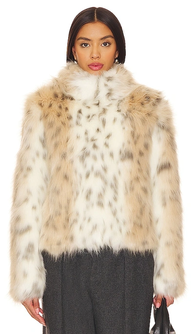 Shop Unreal Fur Wild Dream Jacket In Snow Leopard
