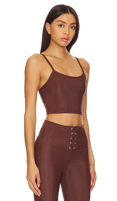 Shop Strut This X Chantelle Paige-mulligan The Melrose Bra Top In Chocolate Rib