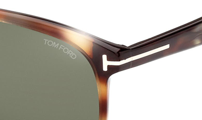Shop Tom Ford 58mm Navigator Sunglasses In Havana / Green