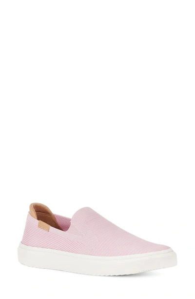 Shop Ugg Alameda Sammy Slip-on Sneaker In Seashell Pink
