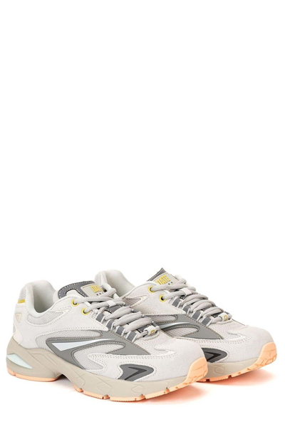 Shop Date Mesh Panelled Sneakers In Ligth Grey