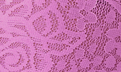 Wacoal Halo Lace Convertible Underwire Bra In First Bloom