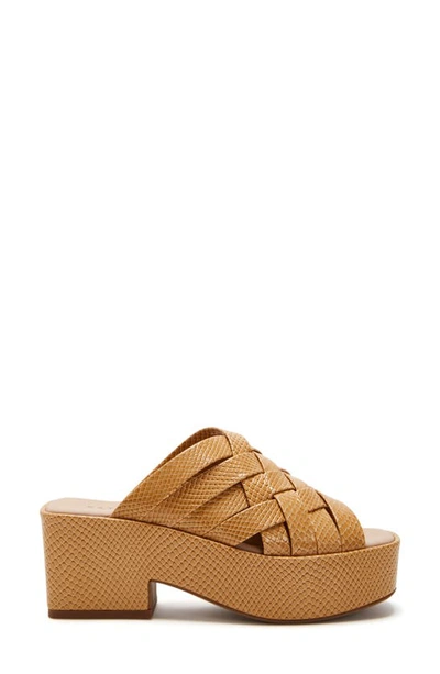 Katy Perry The Busy Bee Crisscross Platform Sandal In Biscotti