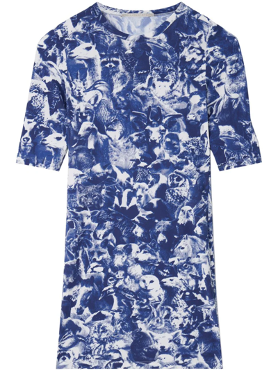 Shop Stella Mccartney Mini Abito Con Stampa Di Animali Della Foresta In Blue