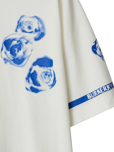 Shop Burberry T-shirt Con Rose In White
