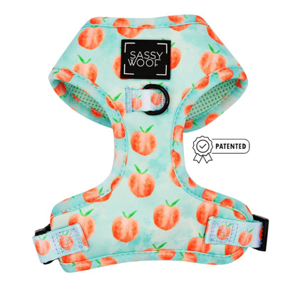 Shop Sassy Woof Dog Adjustable Harness In Green