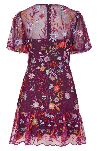 Shop Milly Yasmin Floral Embroidered Puff Sleeve Mesh Fit & Flare Dress In Burgundy Multi