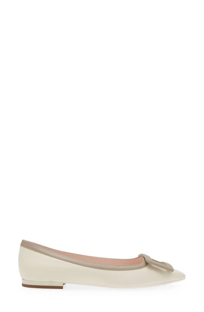 Shop Roger Vivier Gommettine Buckle Pointed Toe Flat In Ivory/ Brown