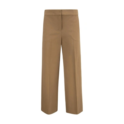 Shop 's Max Mara Baleari Pants In Brown