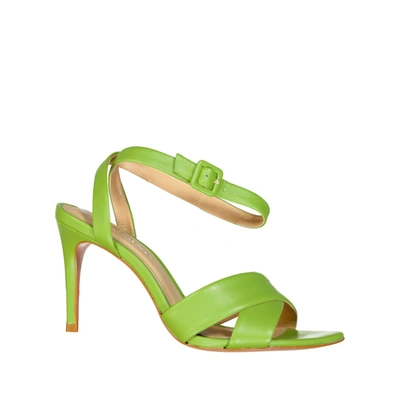 Shop Carrano Leather Sandals In Green