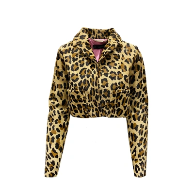 Shop Dsquared2 Leopard Calf Hair Cropped Jacket In Brown