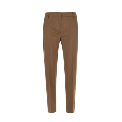 Shop Max Mara Folgore Pants In Brown