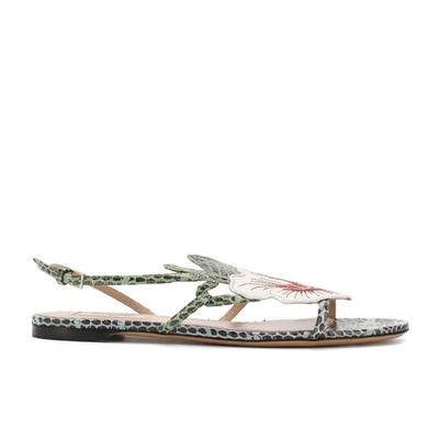 Shop Valentino Leather Sandals In Green