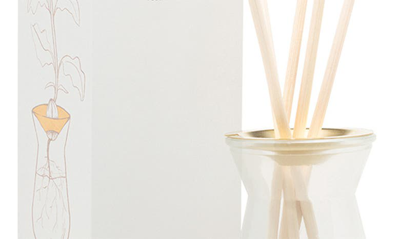 Shop Paddywax Fig & Olive Reed Diffuser In White