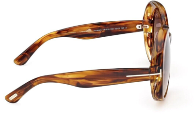 Pre-owned Tom Ford Annabelle Sunglasses Ft1010-55b-62 Havana Frame Gradient Smoke Lenses In Gray