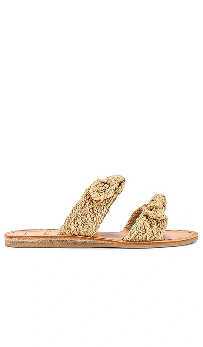 Shop Dolce Vita Dinah Sandal In Light Natural