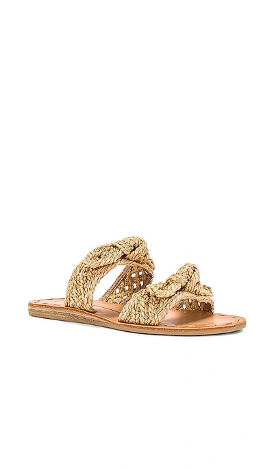Dolce Vita Dinah Slide Sandal In Light Natural