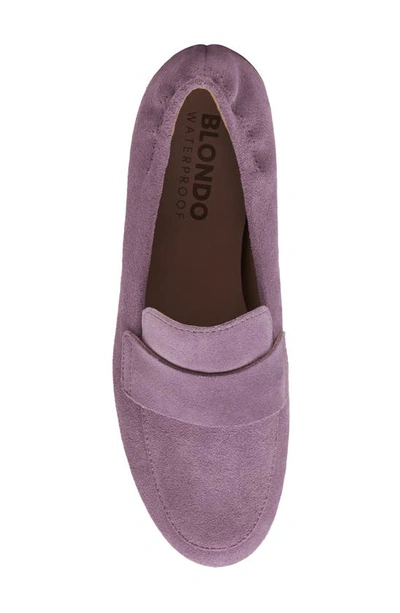 Shop Blondo Britten Waterproof Loafer In Purple Suede