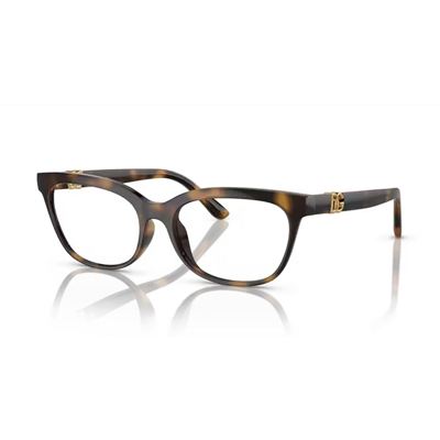 Shop Dolce &amp; Gabbana Eyewear Dg5106u 502 Glasses In Marrone