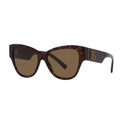 Shop Dolce &amp; Gabbana Eyewear Dg4449 502/73 Sunglasses In Marrone