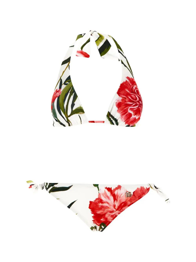 Shop Dolce & Gabbana Carnation Print Padded Triangle Bikini