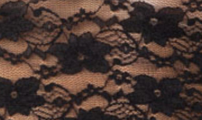 Edikted Laura Off The Shoulder Sheer Lace Crop Top In Black
