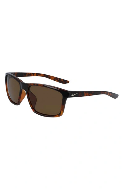 Nike Valient 60mm Square Sunglasses In Tortoise/ Dark Brown