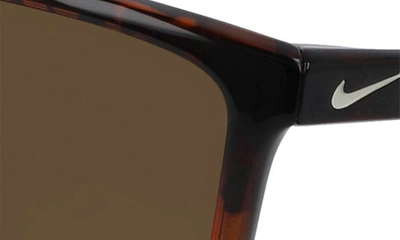 Nike Valient 60mm Square Sunglasses In Tortoise/ Dark Brown