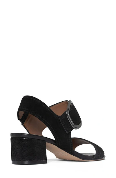 Shop Donald Pliner Ankle Strap Sandal In Black