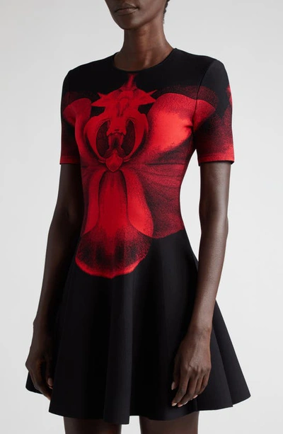 Shop Alexander Mcqueen Orchid Jacquard Fit & Flare Dress In 1023 Black/ Red