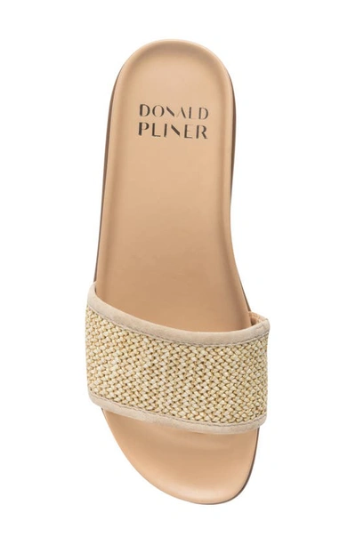 Shop Donald Pliner Fiji Suede Slide Sandal In Taupe