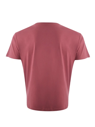Shop Kenzo Cotton T-shirt With Tiger Print And Front Men's Logo In Pink