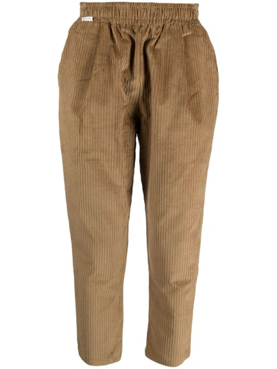 Shop Family First Chino Velvet Clothing In Brown