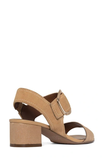 Donald Pliner Neve Leather Sandal In Camel