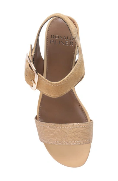 Shop Donald Pliner Ankle Strap Sandal In Camel