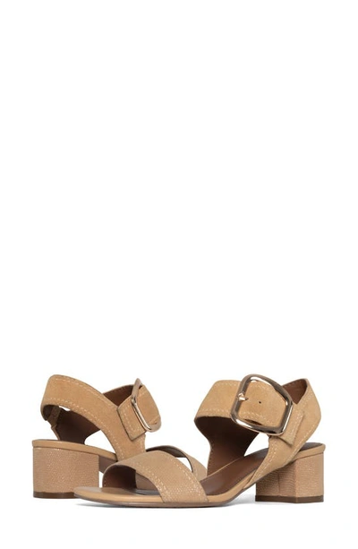 Shop Donald Pliner Ankle Strap Sandal In Camel