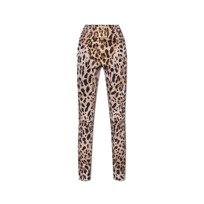Shop Dolce & Gabbana X Kim Leopard Pants In Brown