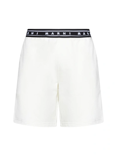 Shop Marni Shorts In Natural White