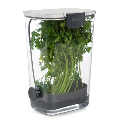 Progressive International Progressive Prepworks Bpa-free Plastic Herb Prokeeper For Herbs, White