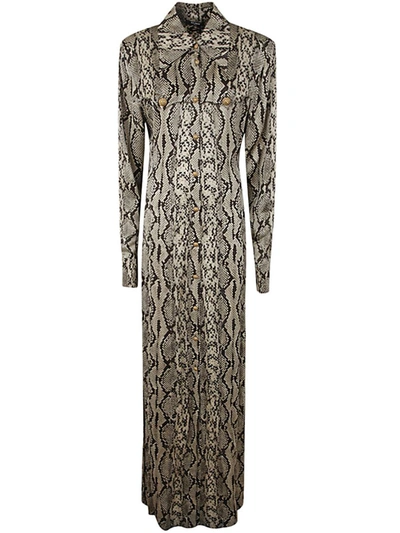 Shop Balmain Long Sleeve Python Satin Long Shirt Dress Clothing In Grey