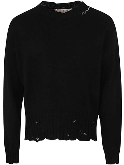 Shop Marni Crew Neck Long Sleeves Sweater Clothing In Black