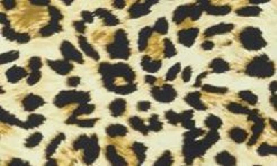 Shop Catherine Malandrino Leopard One-piece Swimsuit In Cheetah Sands Print