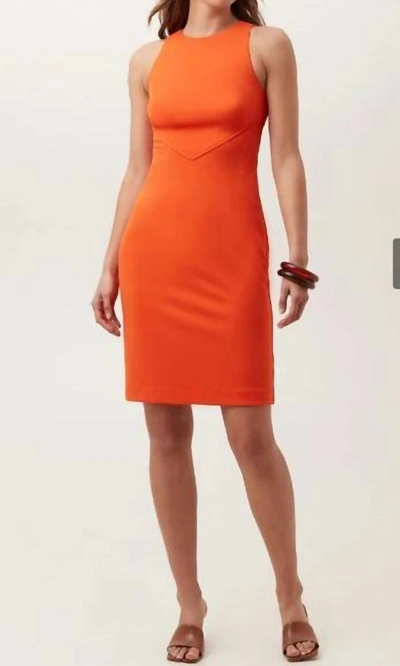 Shop Trina Turk Promise Dress In Solar Flare In Orange