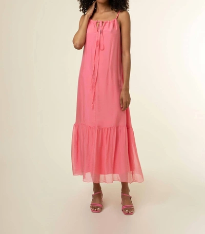 Shop Frnch Wendi Dress In Coral In Pink