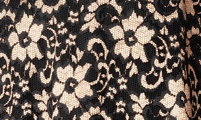 Kiyonna Luxe Lace Empire Waist Peplum Top In Black