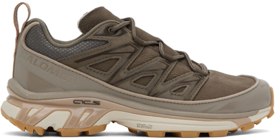 Shop Salomon Brown Xt-6 Expanse Leather Sneakers In Bungeecord/wren/almo