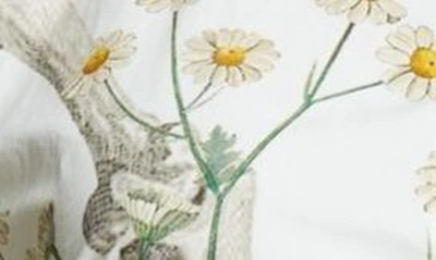 Shop Monse Floral Skeleton Print Cutout Cotton Button-up Shirt In Ivory Multi